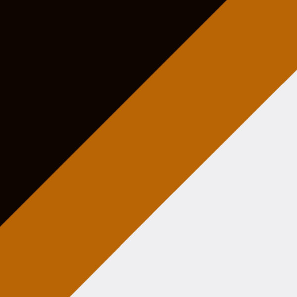 Tortoise/Crystal / Dark Brown Gradient Polarized