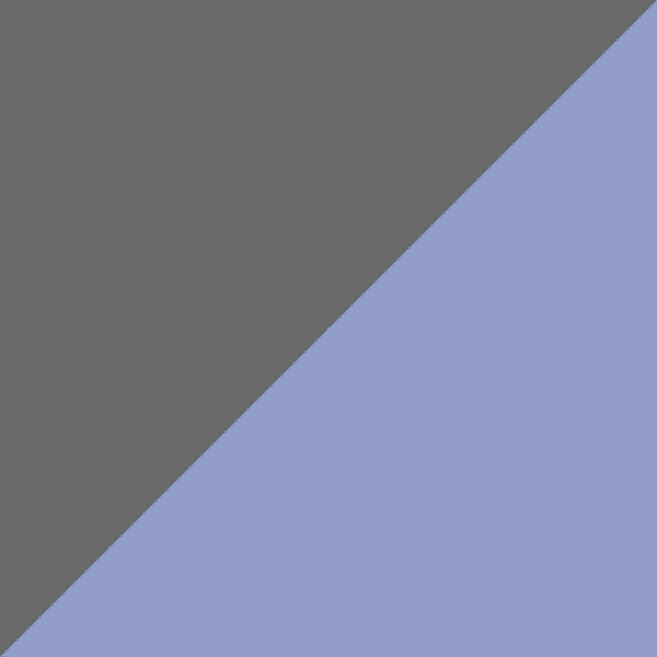 Transparent Slate/Navy C02