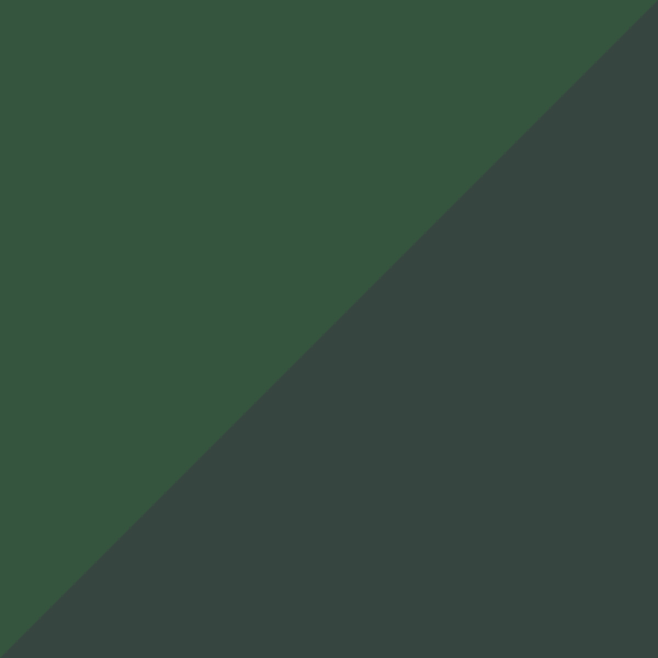 Transparent Olive/Olive Tortoise C03