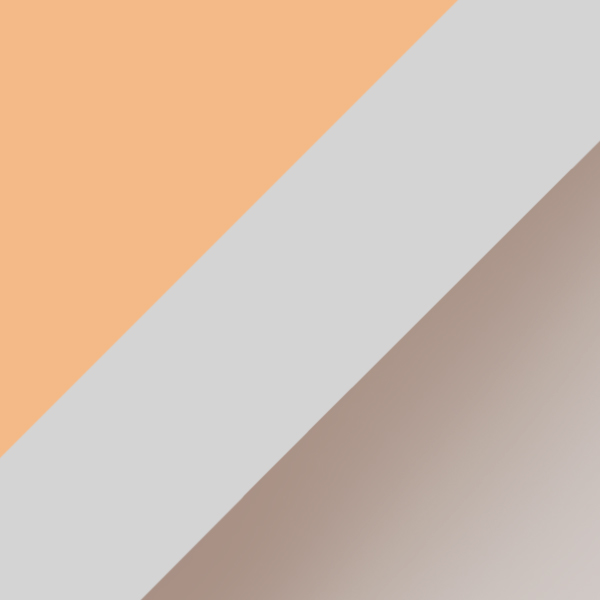 C21-77 / SL29 Brown Gradient