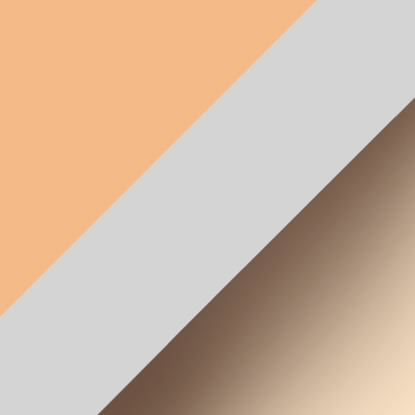 C21-77 / SL12 Gray/Warm Brown Gradient