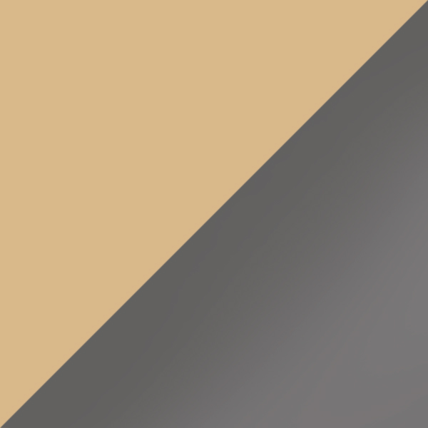 C21-77 / SL49 Light Silver Mirrored-Gray