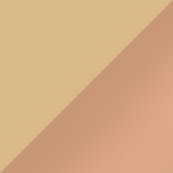 C21-77 / SL54 Rose Gold Mirrored-Medium Gray