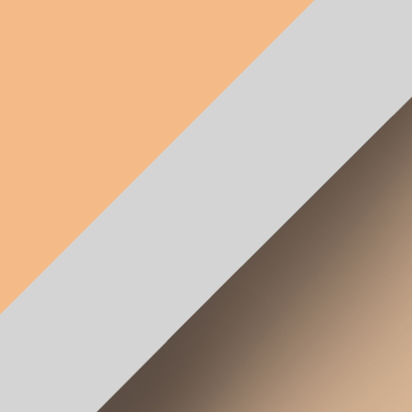 C21-77 / SL09 Warm Gray/Brown Gradient