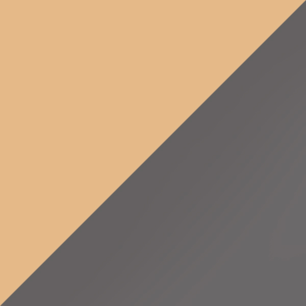 C21M-PU9 / SL49 Light Silver Mirrored-Gray