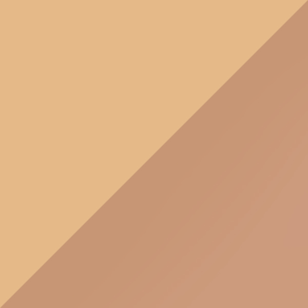 C21M-PU9 / SL54 Rose Gold Mirrored-Medium Gray