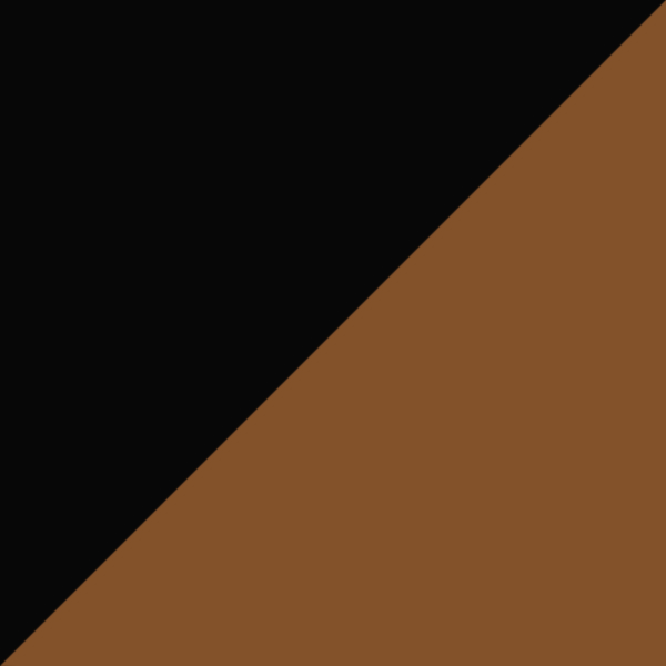 AK55 K24-PU9 / IP01 Brown Polarized