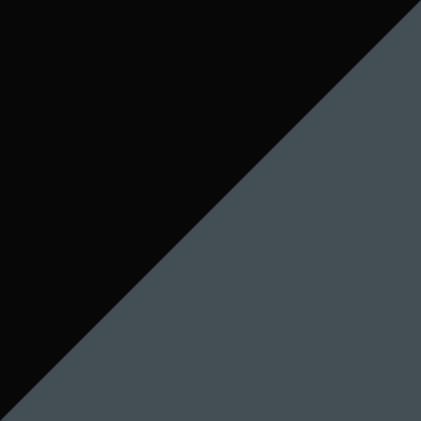 AK55 K24-PU9 / IP02 Gray Polarized