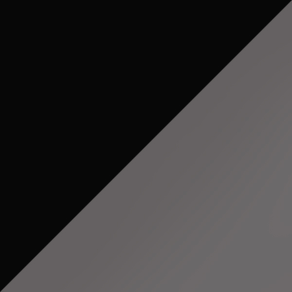 AK55 K24-PU9 / SL49 Light Silver Mirrored-Gray