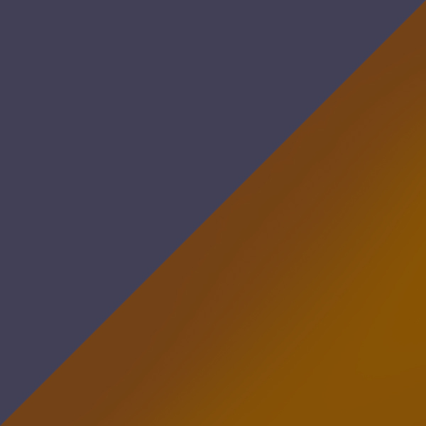 C06-PGT / IP01 Brown Polarized