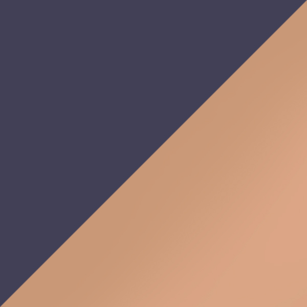 C06-PGT / SL54 Rose Gold Mirrored-Medium Gray