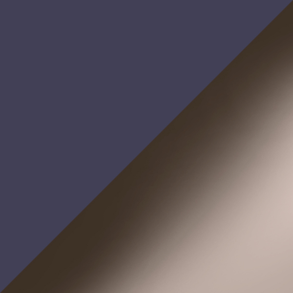 C06-PGT / SL98 Warm Gray Gradient