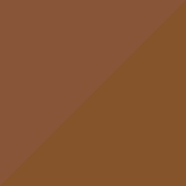C02M-P10 / SL104 Brown