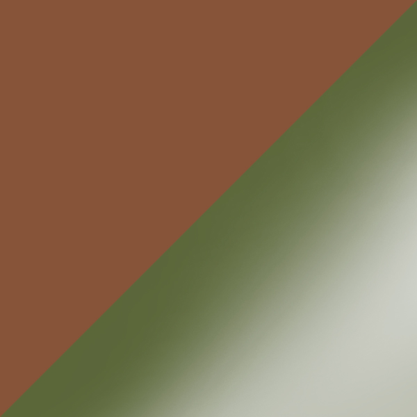 C02M-P10 / SL103 Gray/Green Gradient