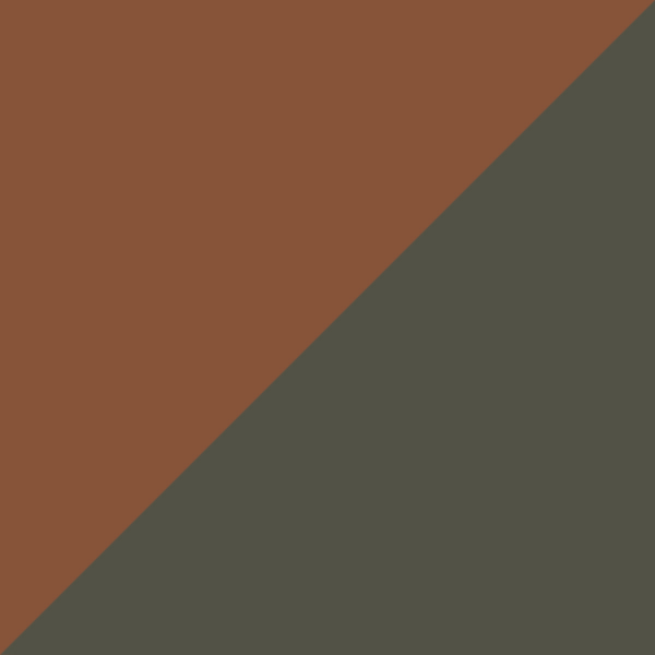 C02M-P10 / SL102 Graygreen