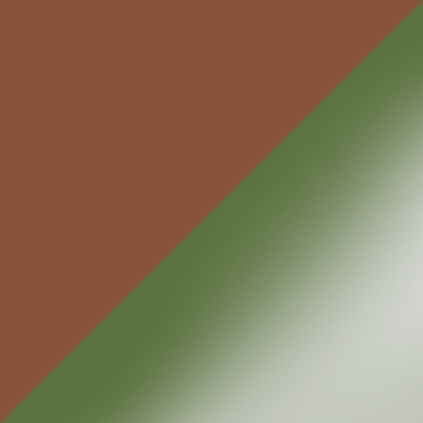 C02M-P10 / SL82 Green Gradient