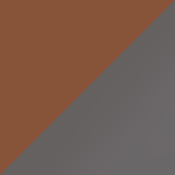 C02M-P10 / SL49 Light Silver Mirrored-Gray