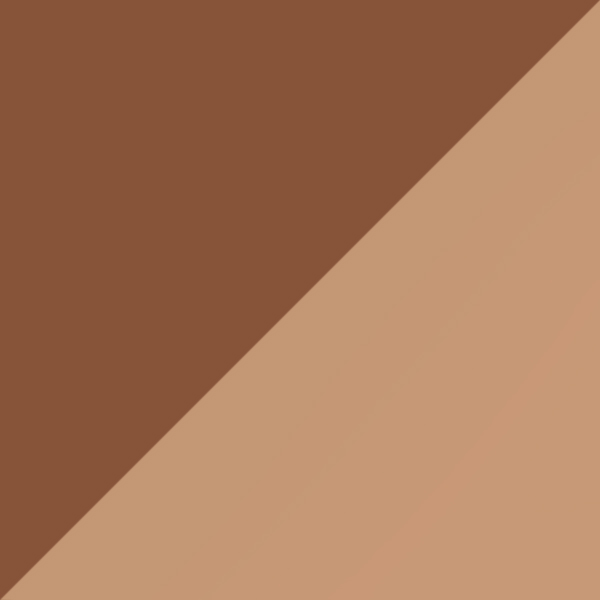 C02M-P10 / SL54 Rose Gold Mirrored-Medium Gray