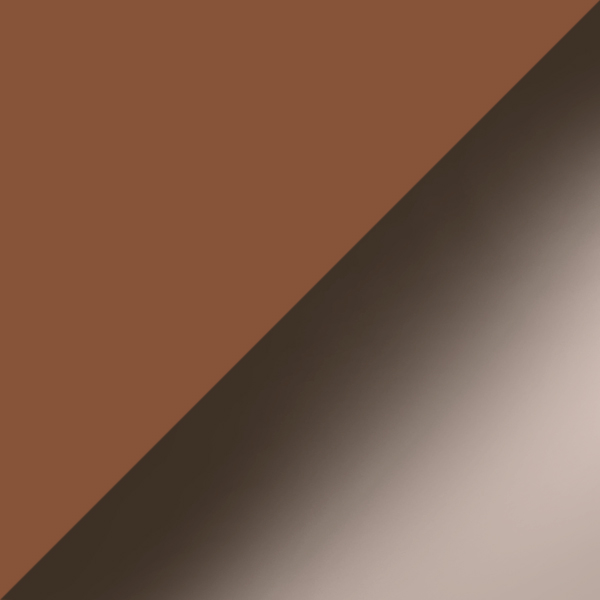 C02M-P10 / SL98 Warm Gray Gradient