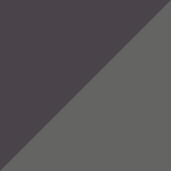 C06 P10
