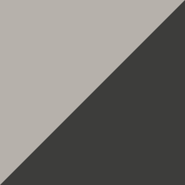 C21-PU9