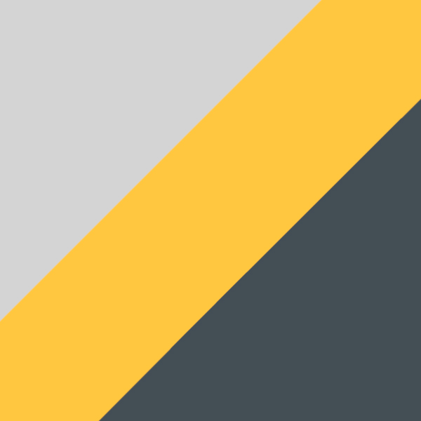 GT/K117 / IP02 Gray Polarized