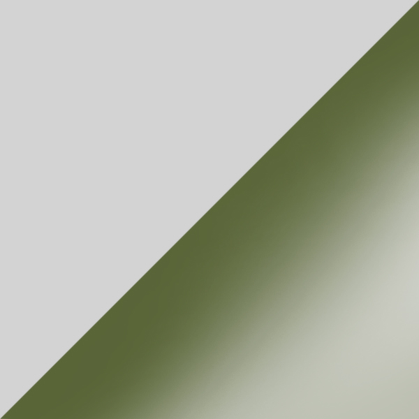 C07-P10 / SL103 Gray/Green Gradient