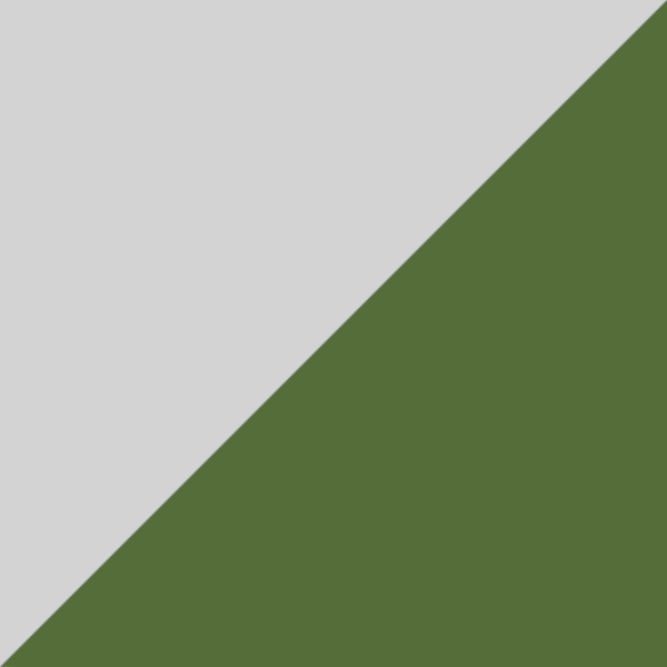 C07-P10 / SL85 Green