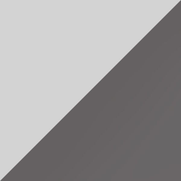 C07-P10 / SL49 Light Silver Mirrored-Gray