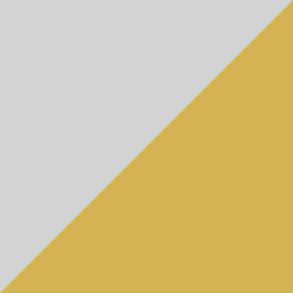 C07-P10 / SL36 Yellow Curry