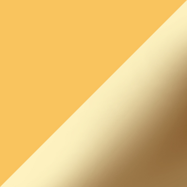 GT / PL01 24CT Yellow Gold Coating-Brown