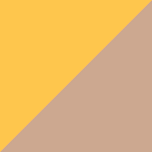 GT / SL32 Red/Brownish