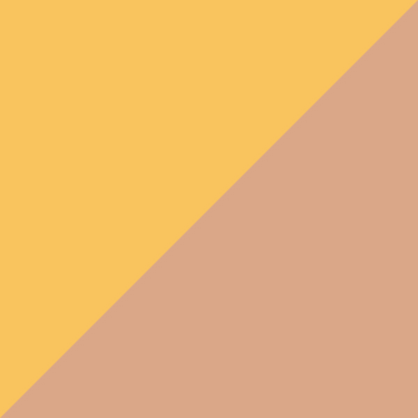 GT / SL54 Rose Gold Mirrored-Medium Gray