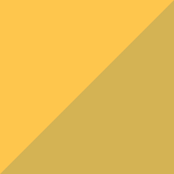 GT / SL36 Yellow Curry