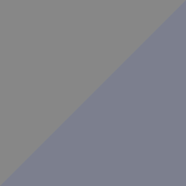 C07-05 / SL66 Gray/Blue