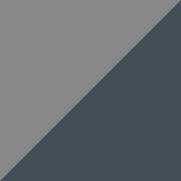 C07-05 / IP02 Gray Polarized