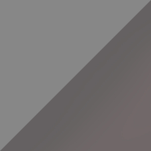 D17-PGT / SL49 Light Silver Mirrored-Gray