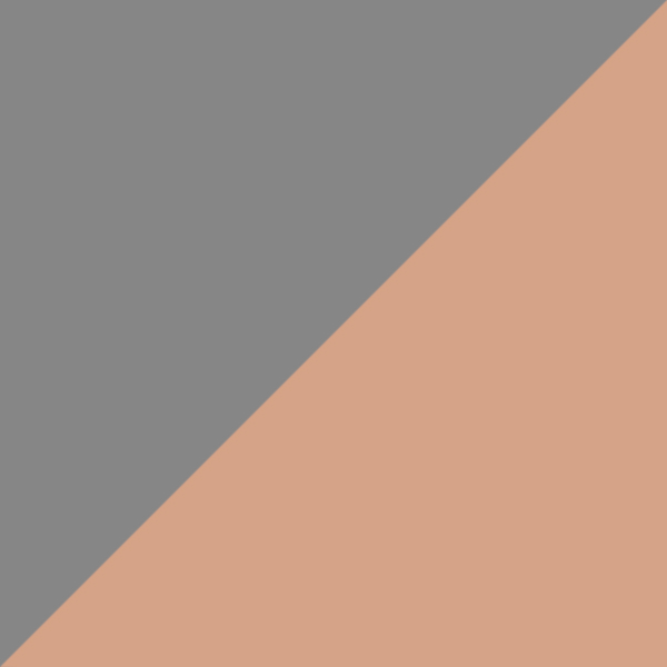 D17-PGT / SL54 Rose Gold Mirrored-Medium Gray