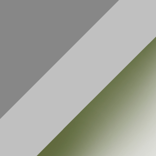 P10/K24M / SL103 Gray/Green Gradient