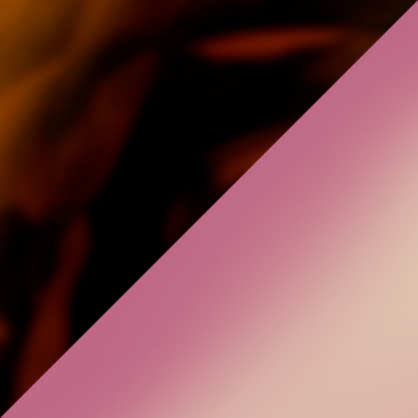 SC91 K256-10 / SL62 Bordeaux-Pearl Gradient