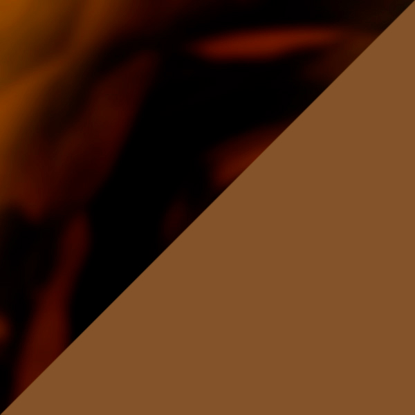 SC91 K256-10 / IP01 Brown Polarized