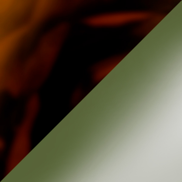 SC91 K256-10 / SL103 Gray/Green Gradient