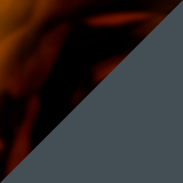 SC91 K256-10 / IP02 Gray Polarized