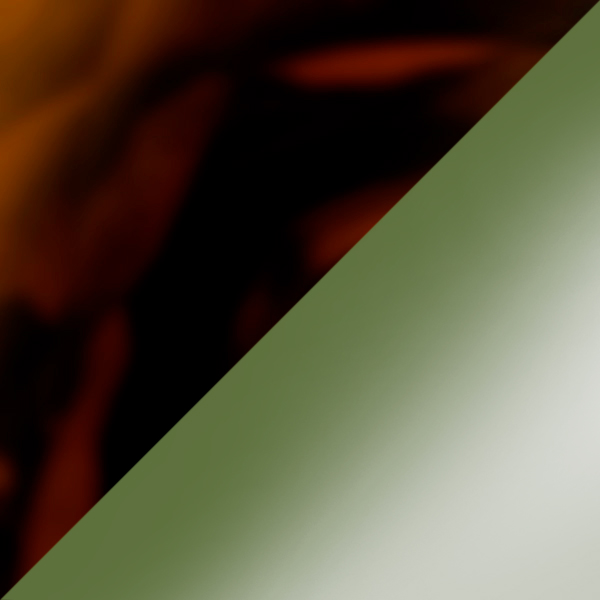 SC91 K256-10 / SL82 Green Gradient