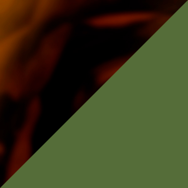 SC91 K256-10 / SL85 Green