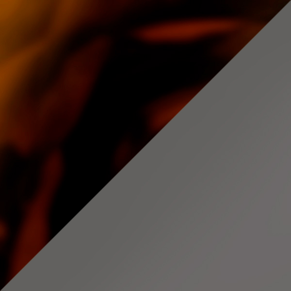 SC91 K256-10 / SL49 Light Silver Mirrored-Gray