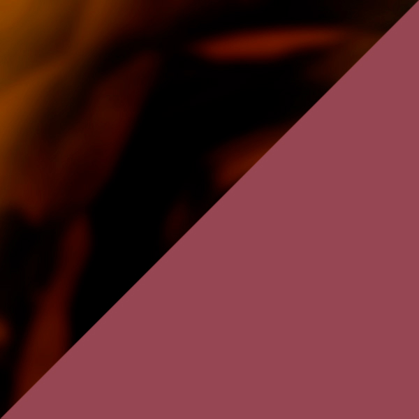 SC91 K256-10 / SL91 Plum