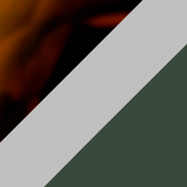 10/K25 / SL02 Gray Green