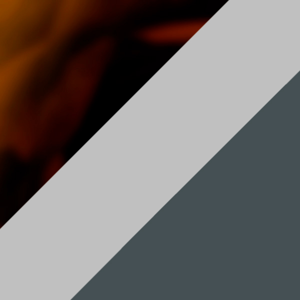 10/K25 / IP02 Gray Polarized