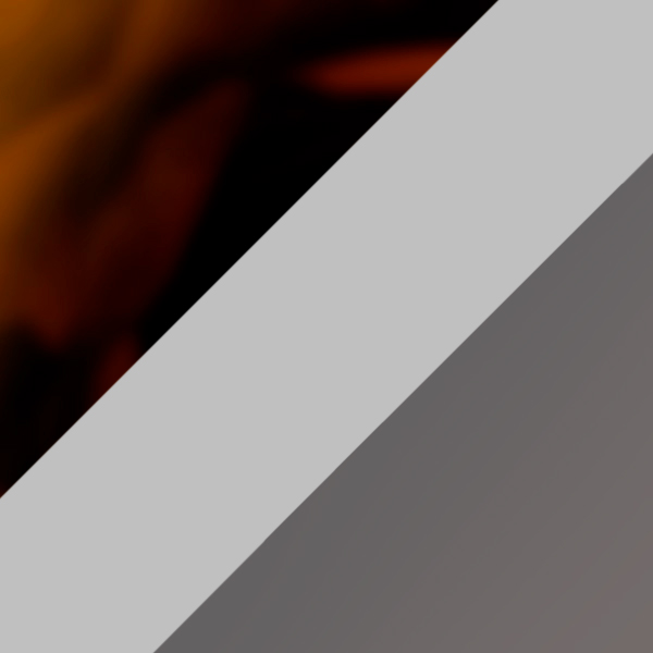 10/K25 / SL49 Light Silver Mirrored-Gray